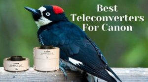 Best teleconverters for Canon